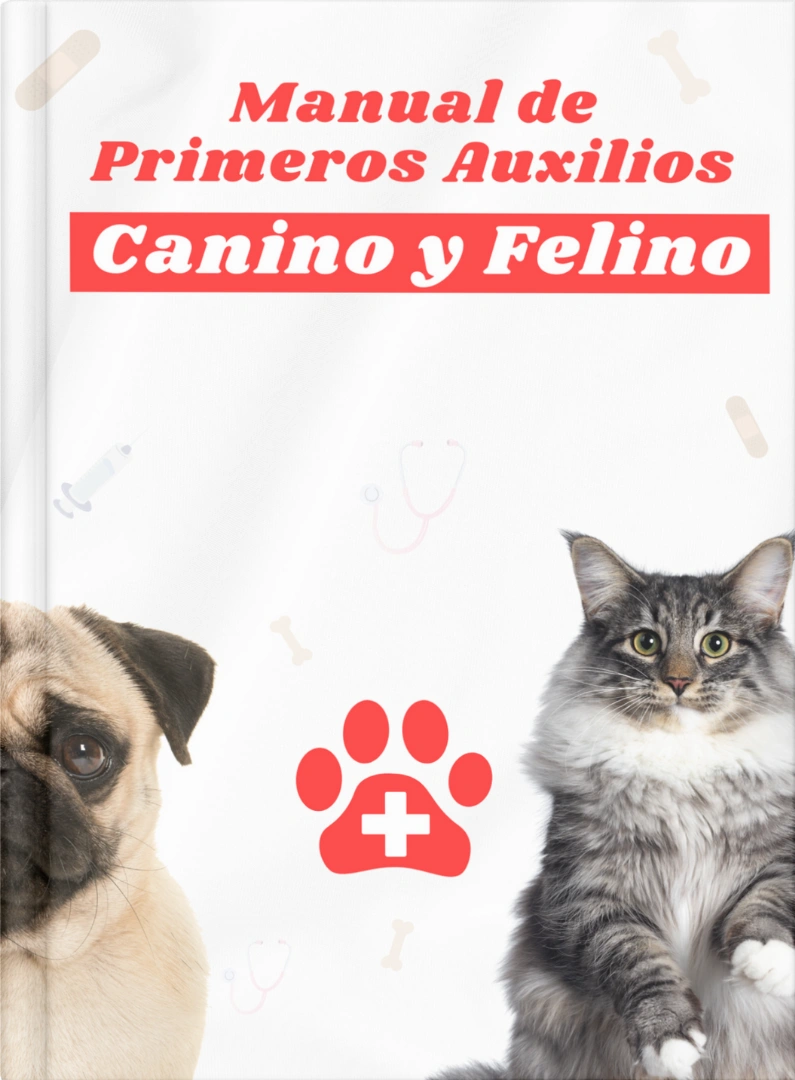Manial-de-primeros-auxliios-canino-y-felino.webp