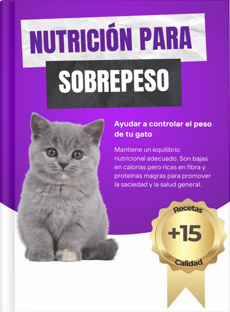 Nutricion-para-sobrepeso.webp