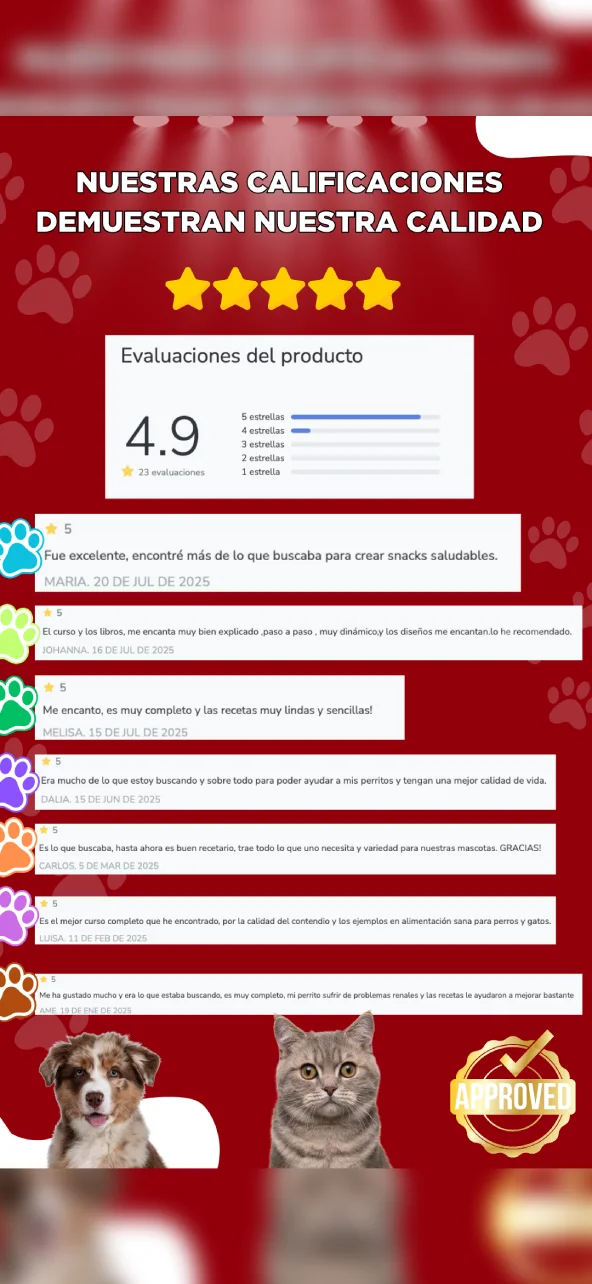 Testimonios-6.webp