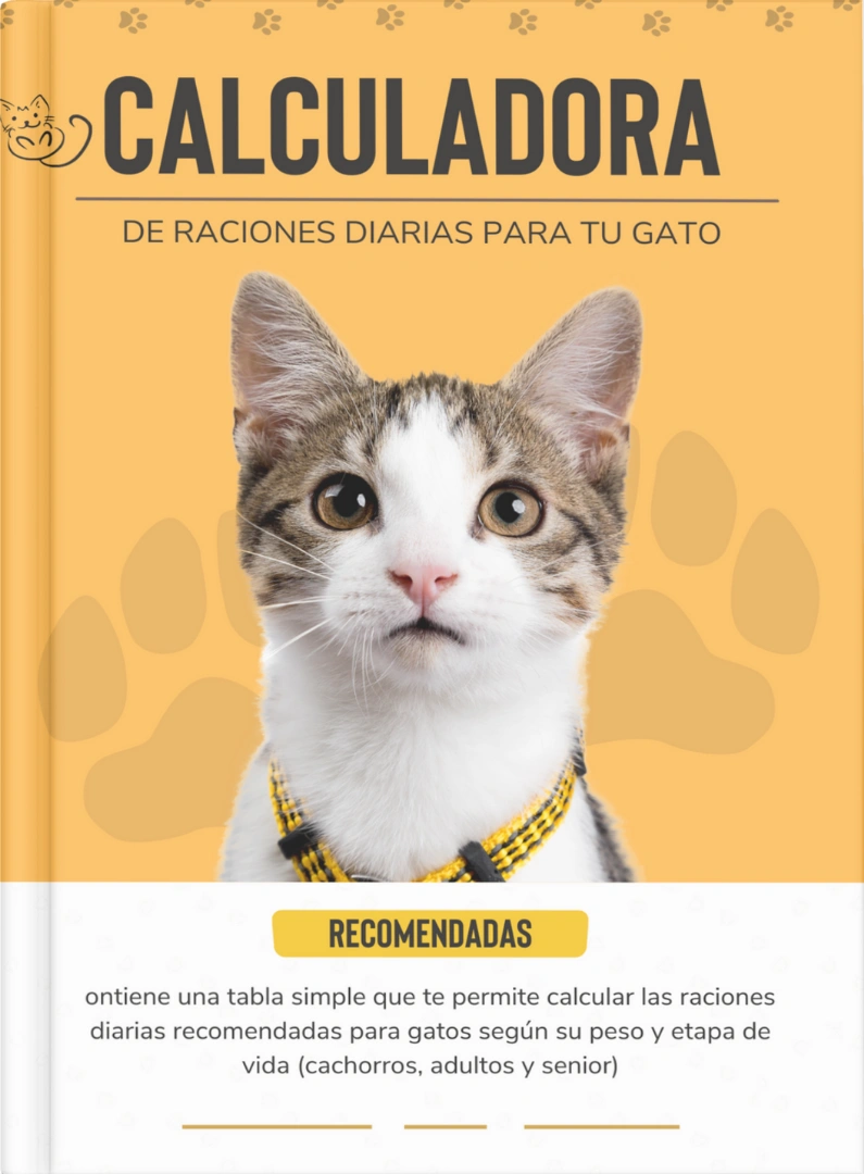 calculadora-de-raciones-para-tu-gato.webp