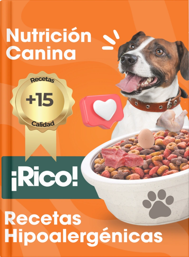 nutricion-canina.webp