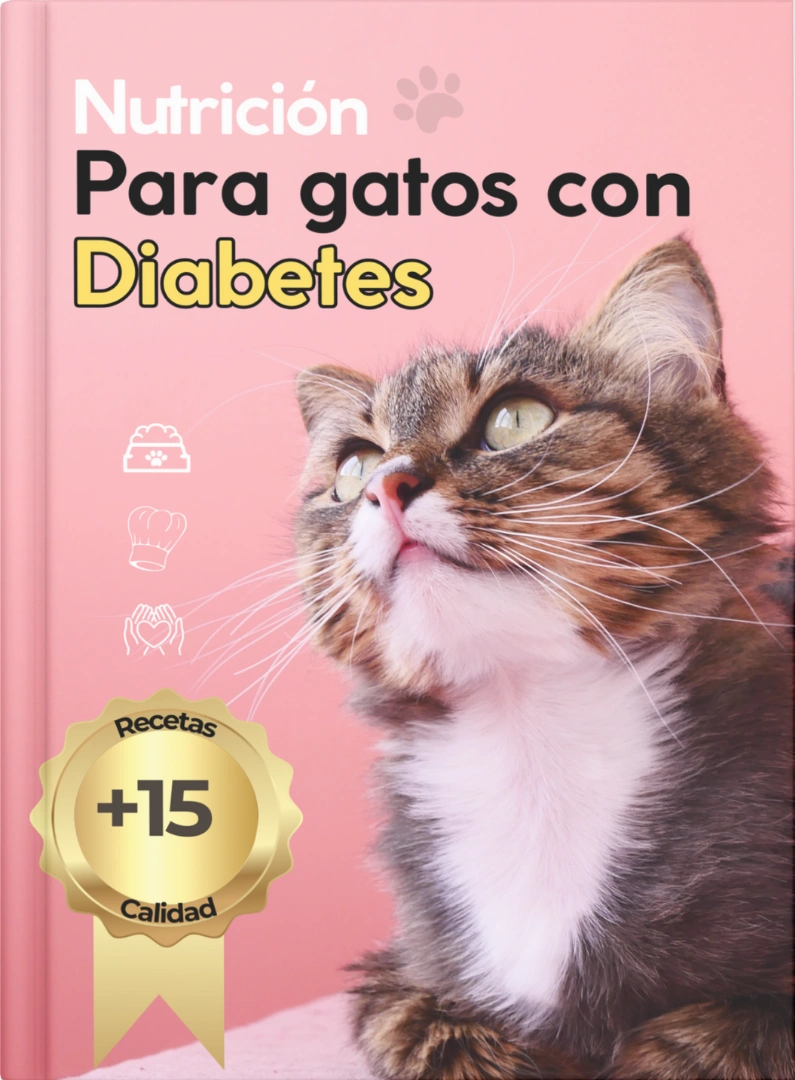 nutricion-para-gatos-con-diabetes.webp