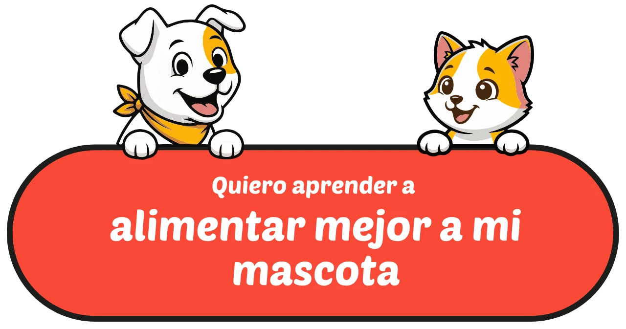 quiero aprender a alimentar mejor a todas mis mascotas