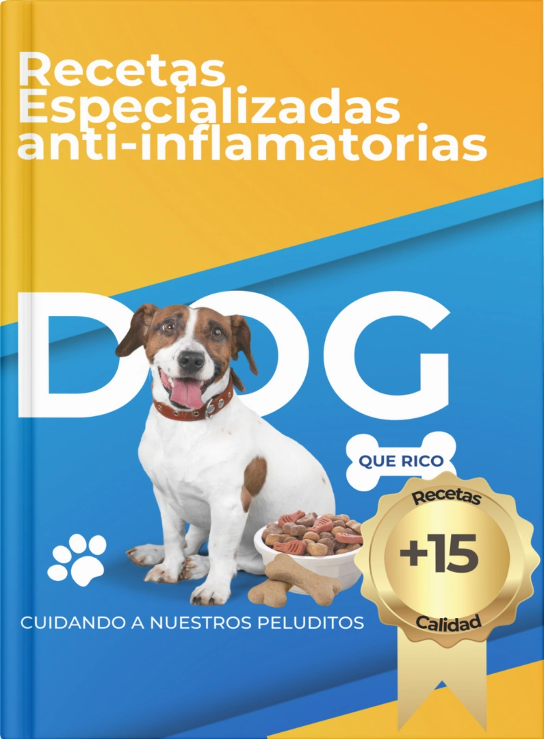 recetas-especializadas-antiinflamatorias.webp